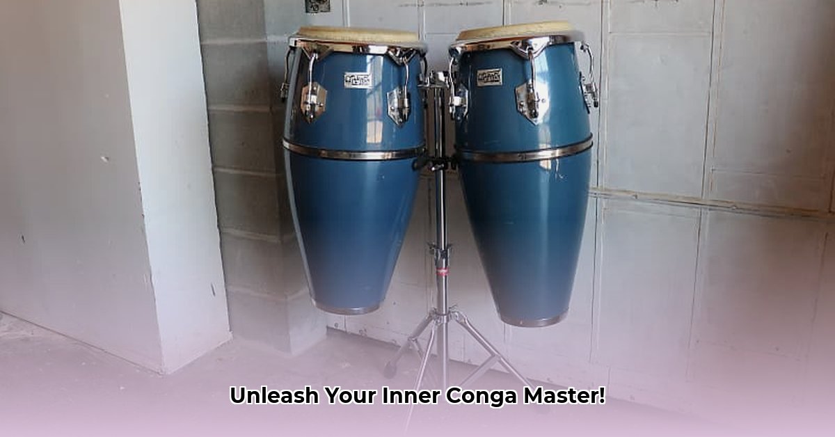 toca-players-series-congas